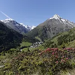 & Alpinhotel Post 4*