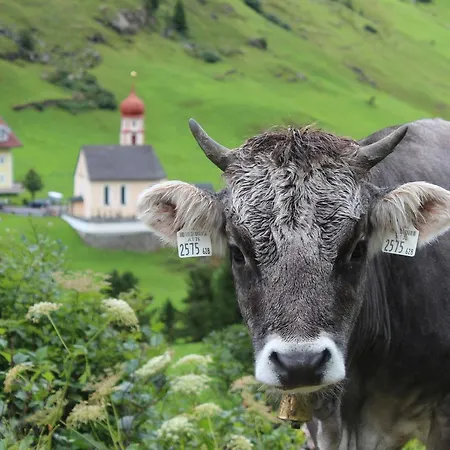 Hotel Natur-&alpinhotel Post Vent
