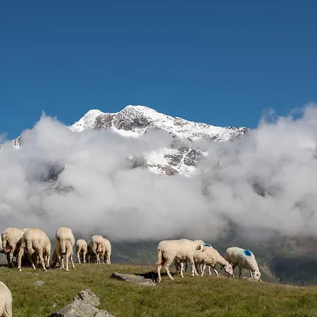 Natur-&alpinhotel Post Hotel