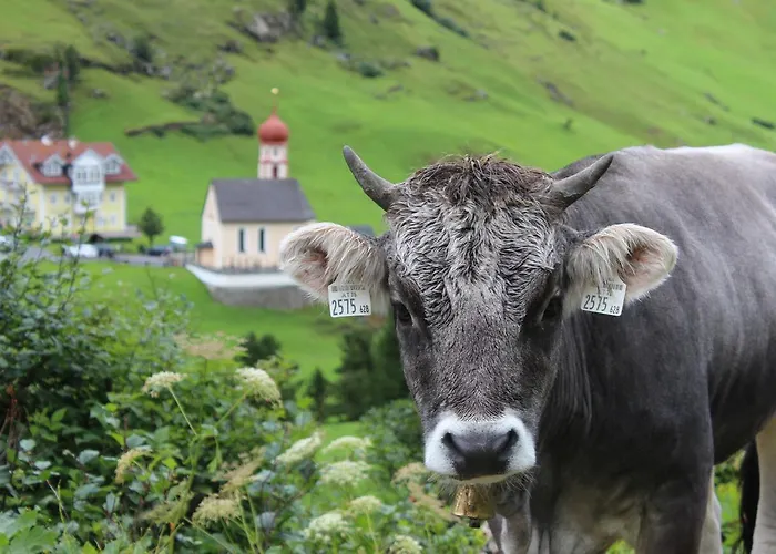 Hotel Natur-&alpinhotel Post Vent