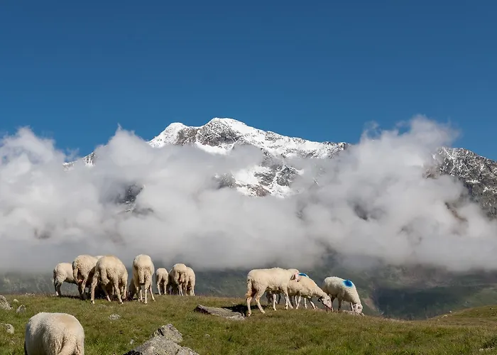 Natur-&alpinhotel Post Hotel